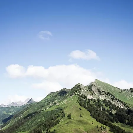 Berg Aparts - 6 - Faschina - Mit Sauna & 2 Baedern * Fontanella